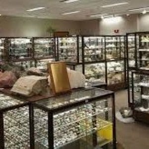 KC Gems Week 2: Archivists of Earth’s History: Rocks, Minerals & Fossils and the Sutton Museum