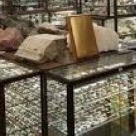 Richard L. Sutton Jr. Museum of Geosciences Tour